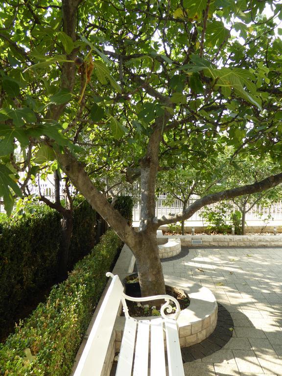 Apartments Bojanic Водице Экстерьер фото